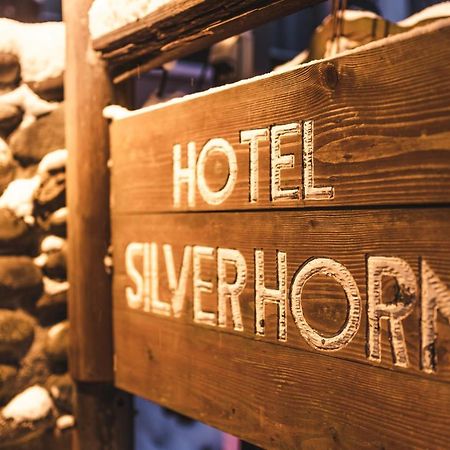 Hotel Silverhorn Мёко Экстерьер фото