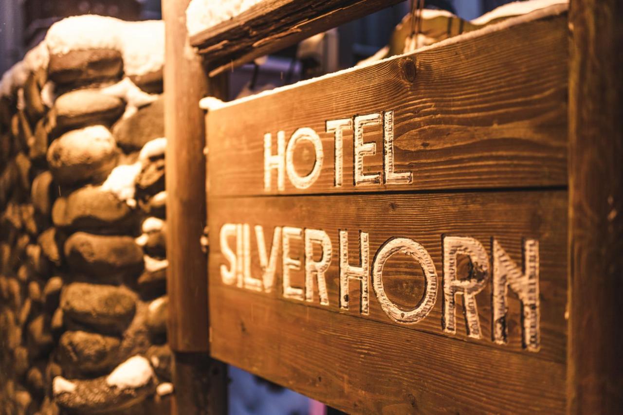 Hotel Silverhorn Мёко Экстерьер фото
